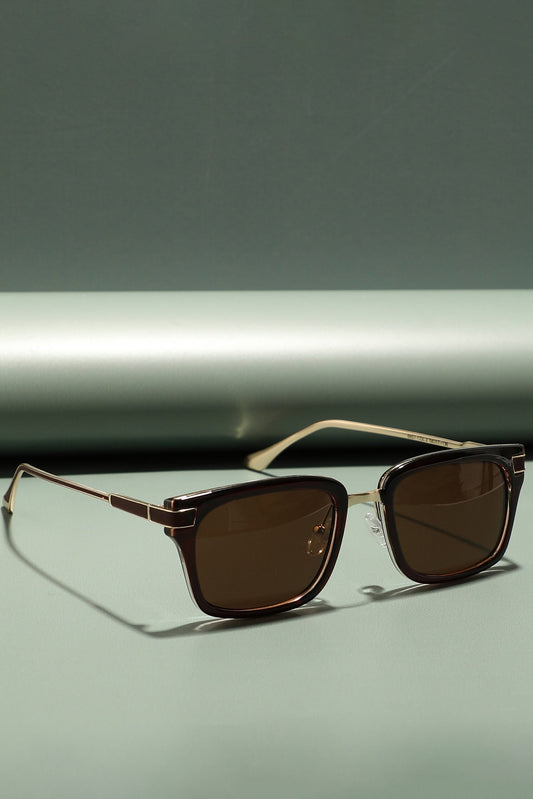 Full Rim Wayfarer Sunglass