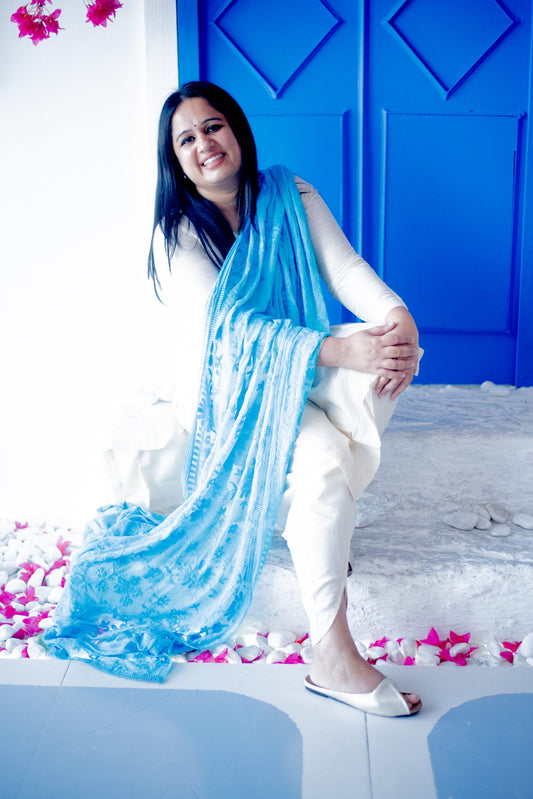 Chiffon Embroidered Dupatta-Light Blue