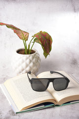 Women Black Lens Black Wayfarer Sunglasses