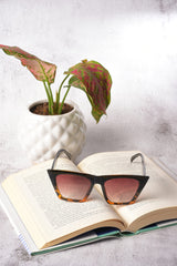 Women Brown Lens Brown Butterfly Sunglasses