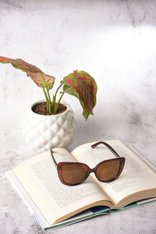 Women Brown Lens Brown Butterfly Sunglasses