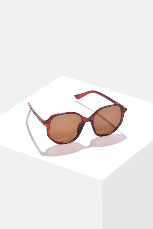 Women Brown Lens Brown Wayfarer Sunglasses