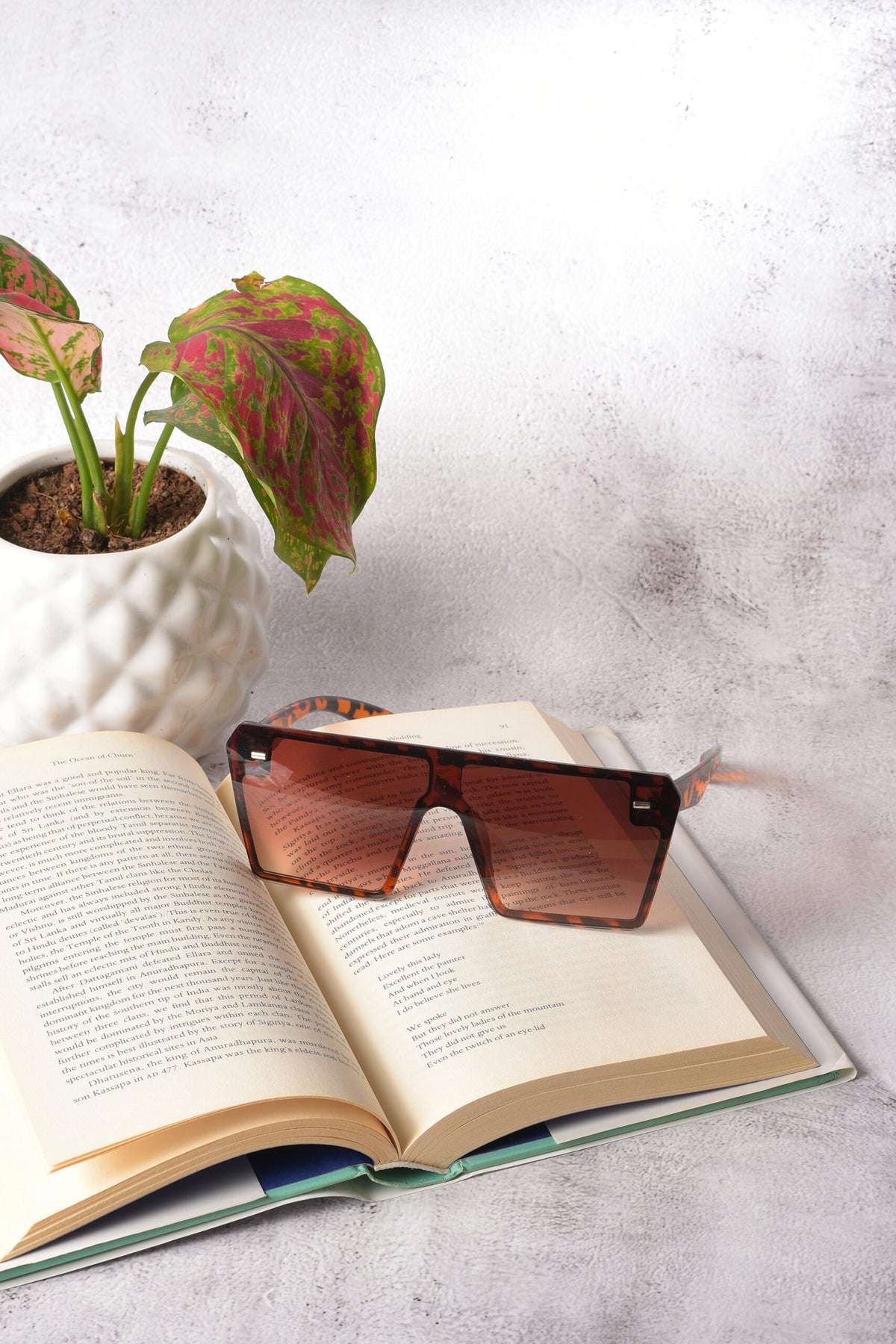 Women Brown Lens Brown Oversized Sunglasses