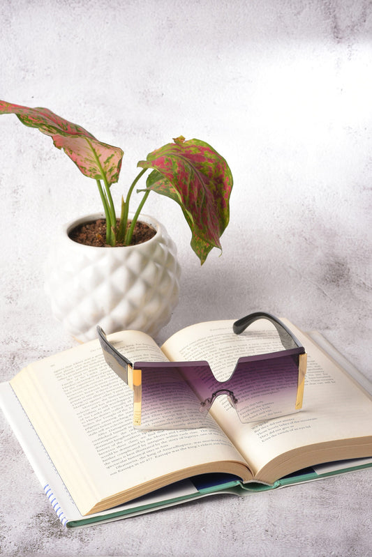 Women Purple Lens Purple Oversized Sunglasses