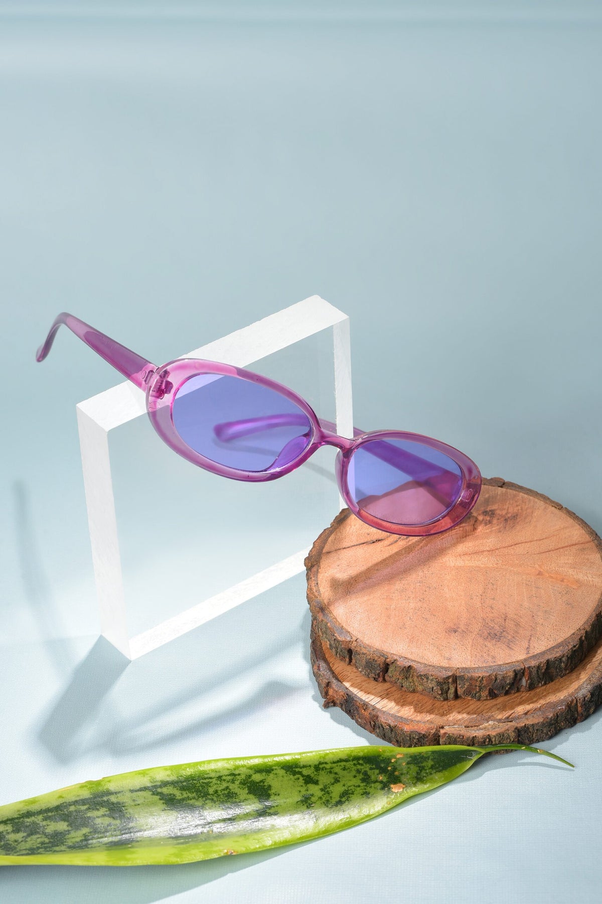 Women Purple Lens Purple Oval Sunglasses