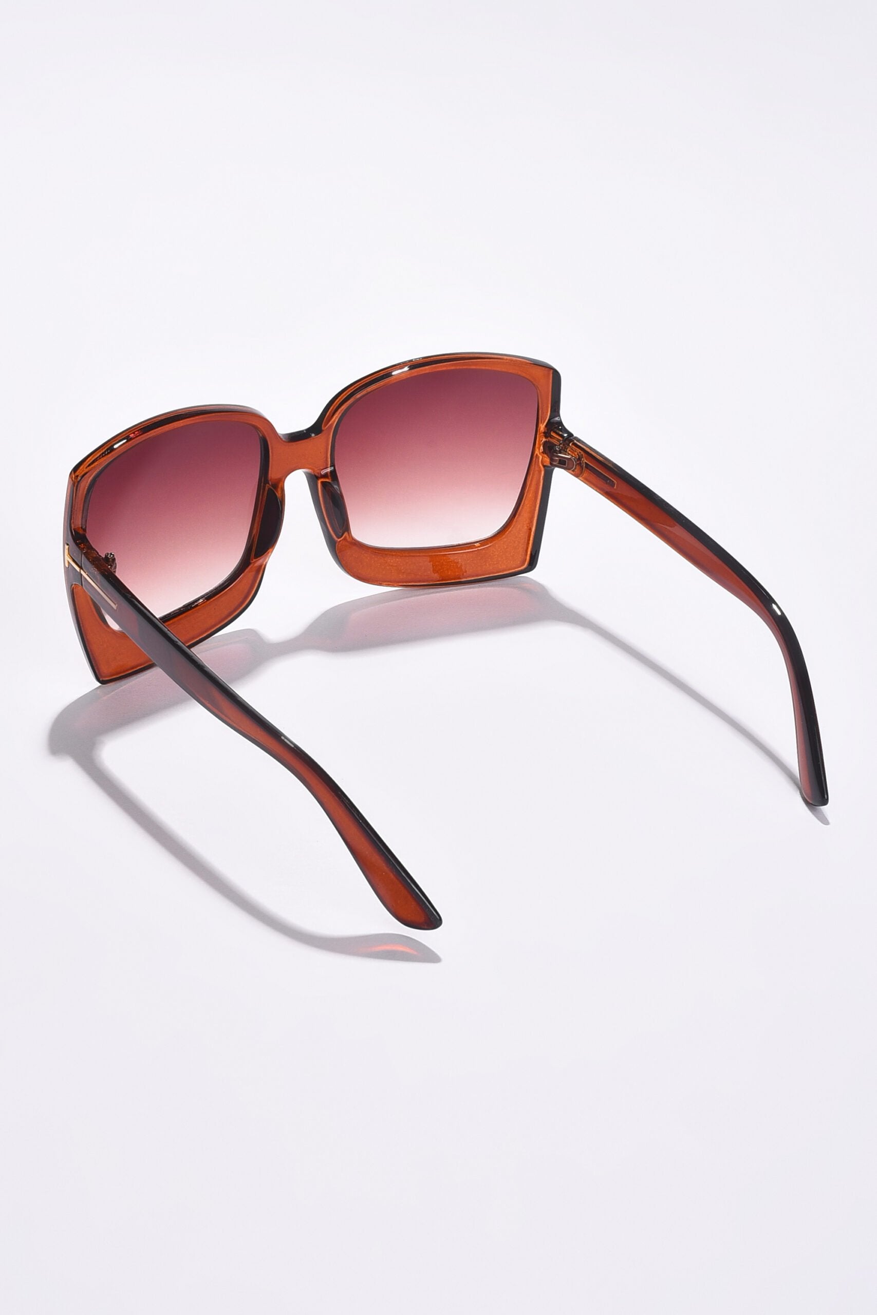 Women Brown Lens Brown Oversized Sunglasses