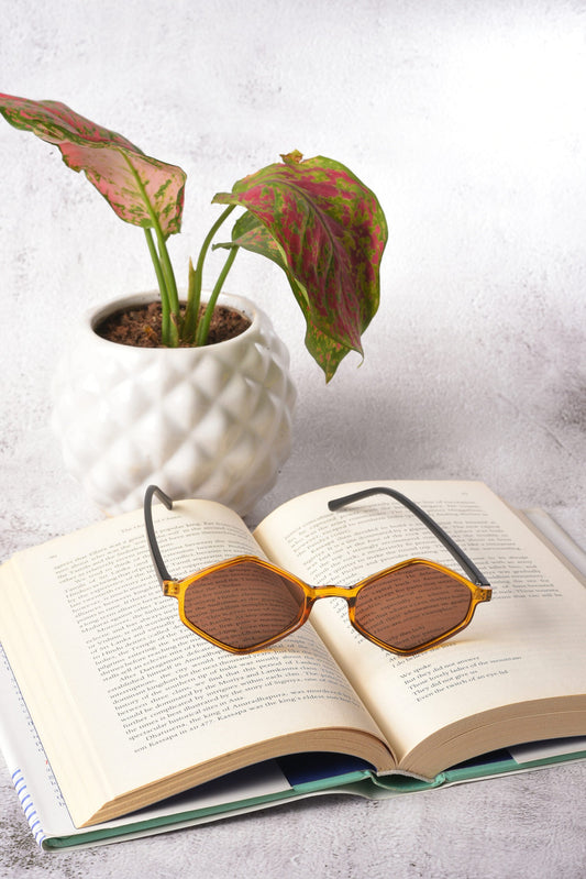 Women Brown Lens Yellow Other Sunglasses