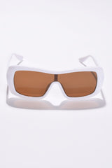 Women Brown Lens White Wayfarer Sunglasses