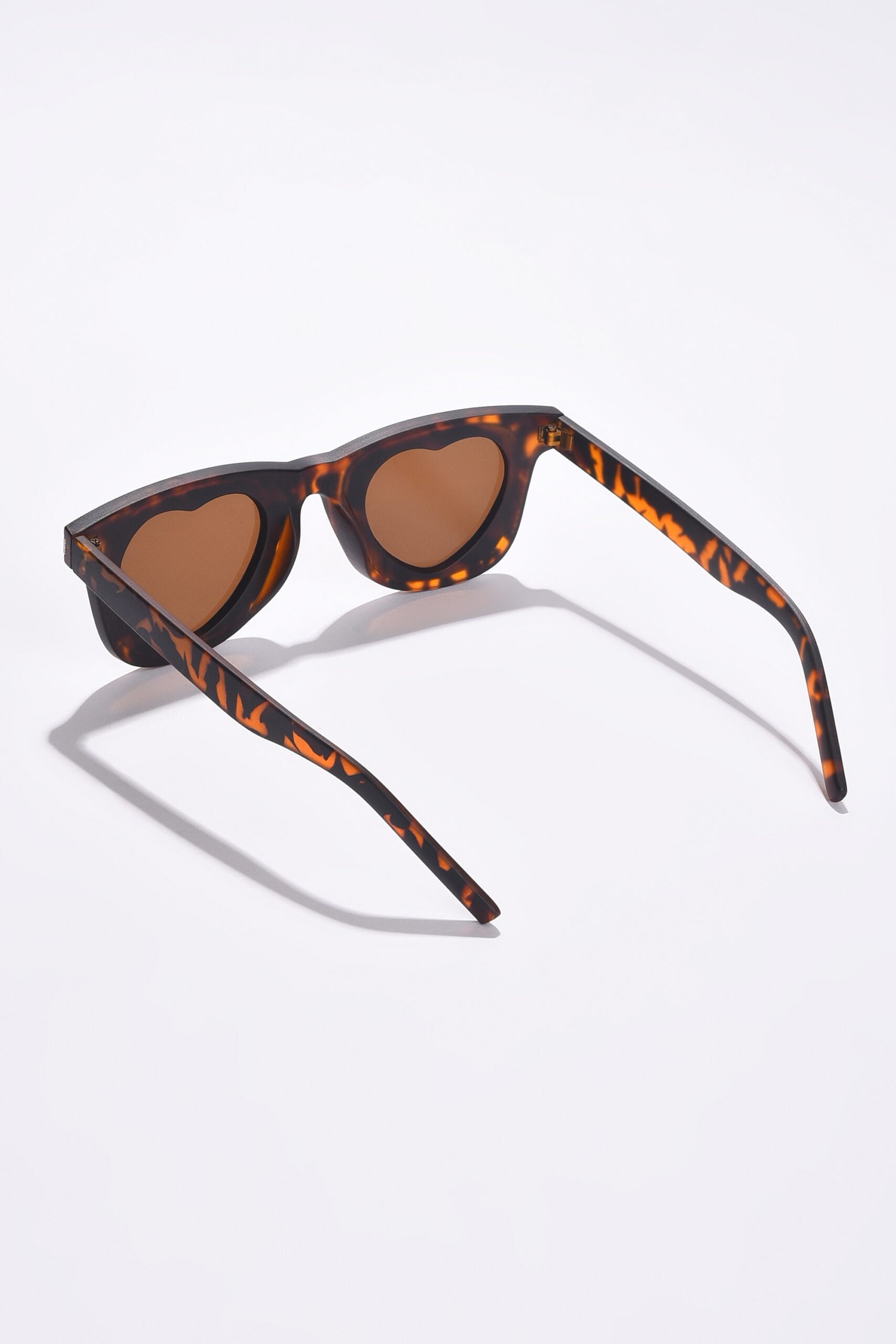 Women Brown Lens Brown Wayfarer Sunglasses