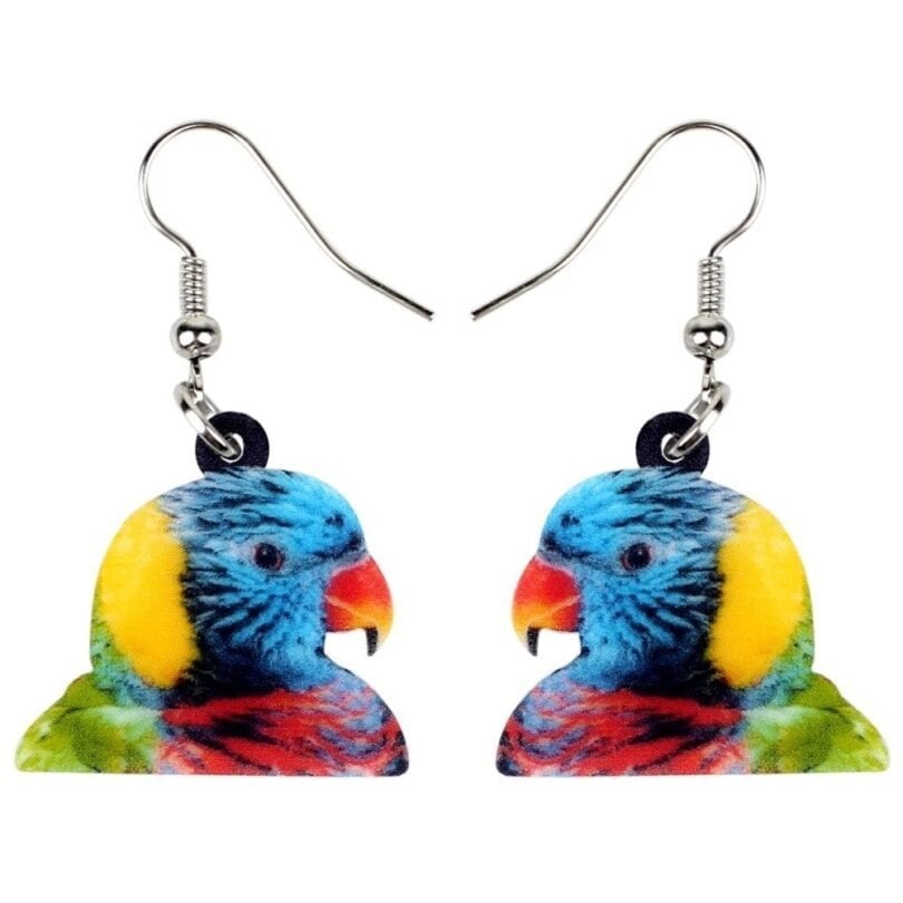 Multicolored Pretty Parrot Acrylic Drop Earrings