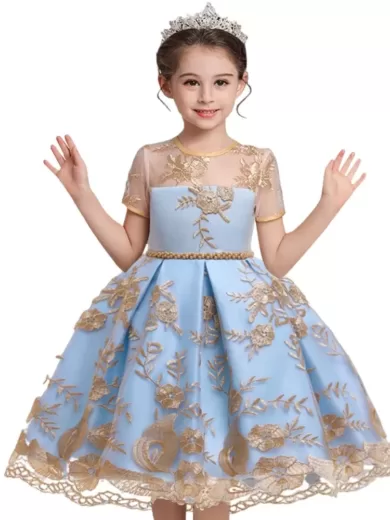 Embrioderied Net Feature Cap Sleeve Party Dress For Girls