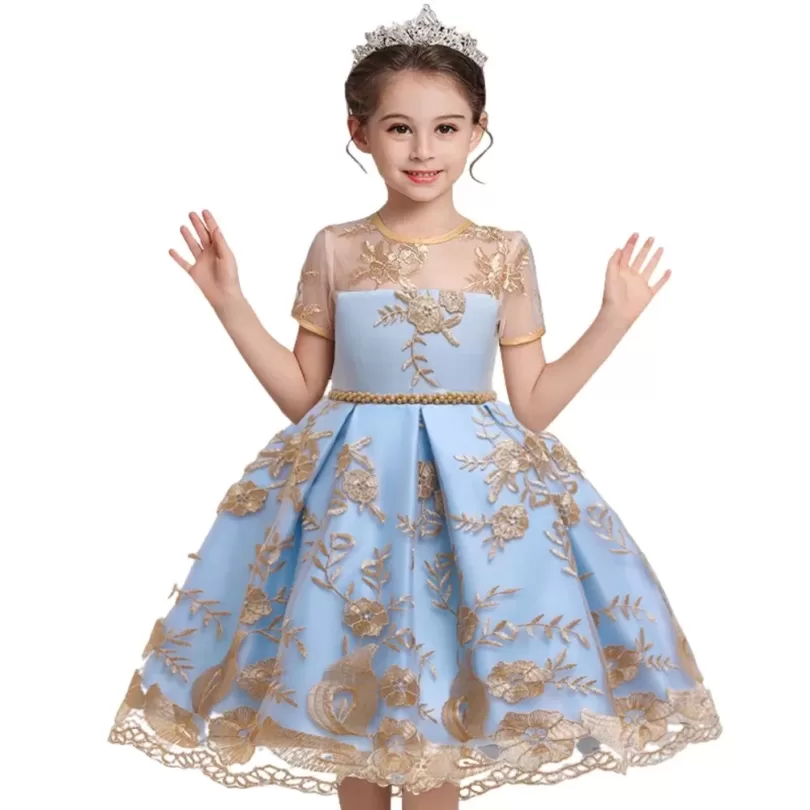 Embrioderied Net Feature Cap Sleeve Party Dress For Girls