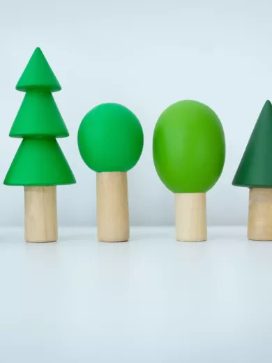 Evergreen Forest Trees1 scaled
