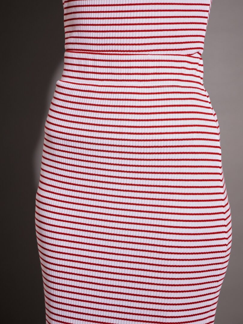 Women Red & White Striped Rib Pencil Skirt