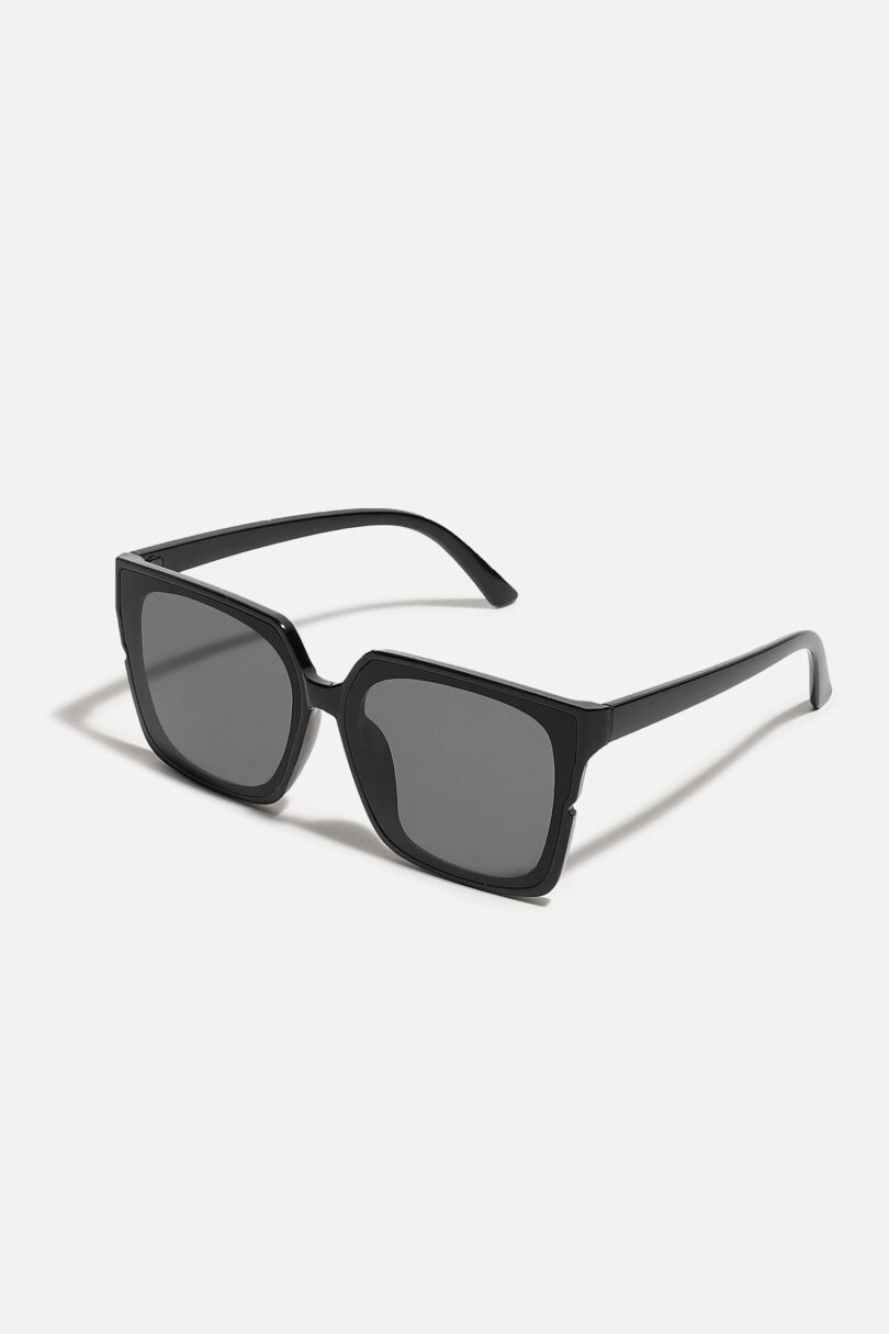 Full Rim Oversized Sunglass