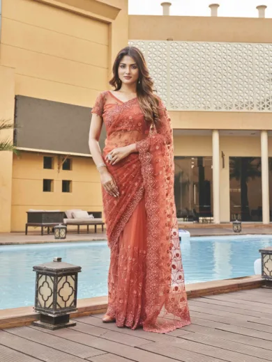 Embroidered Net Heavy Work Saree